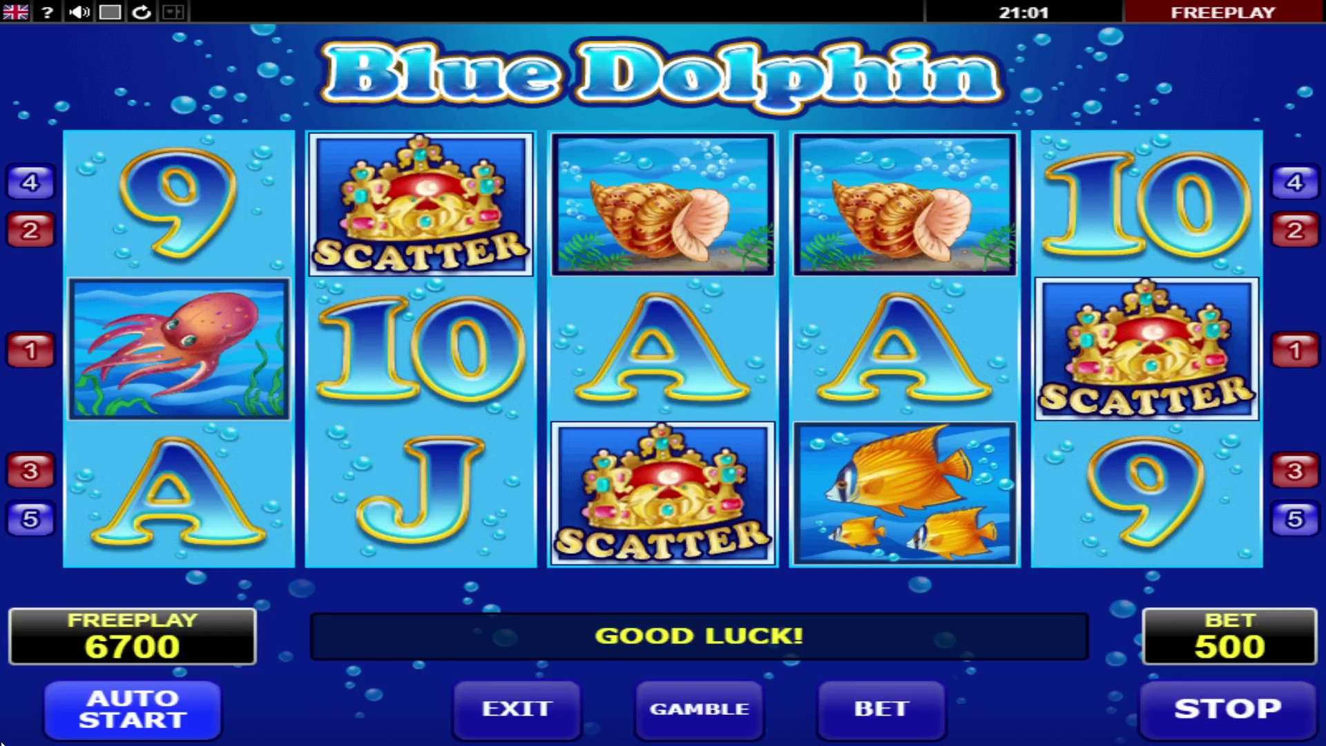 A sorte está ao seu lado com os golfinhos A sorte está ao seu lado com os golfinhos