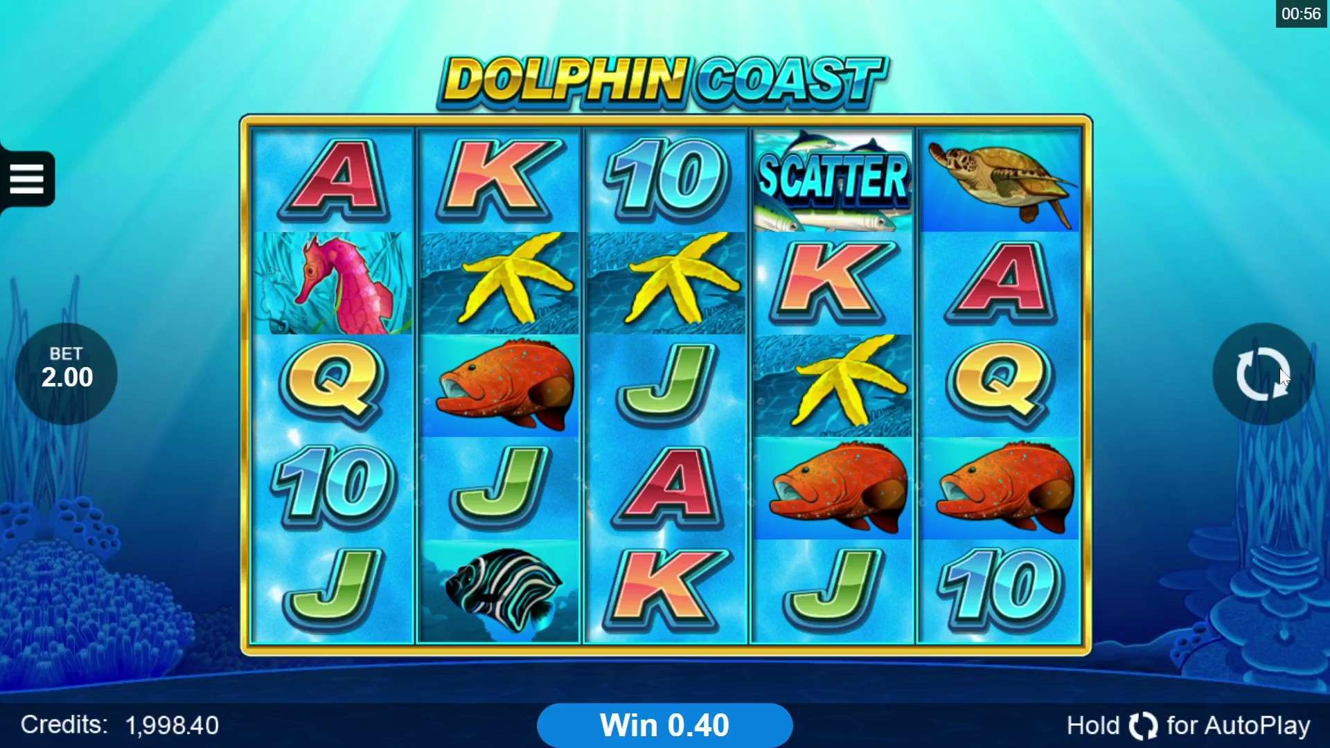 Настройка и тема Dolphin Coast Slot Настройка и тема Dolphin Coast Slot