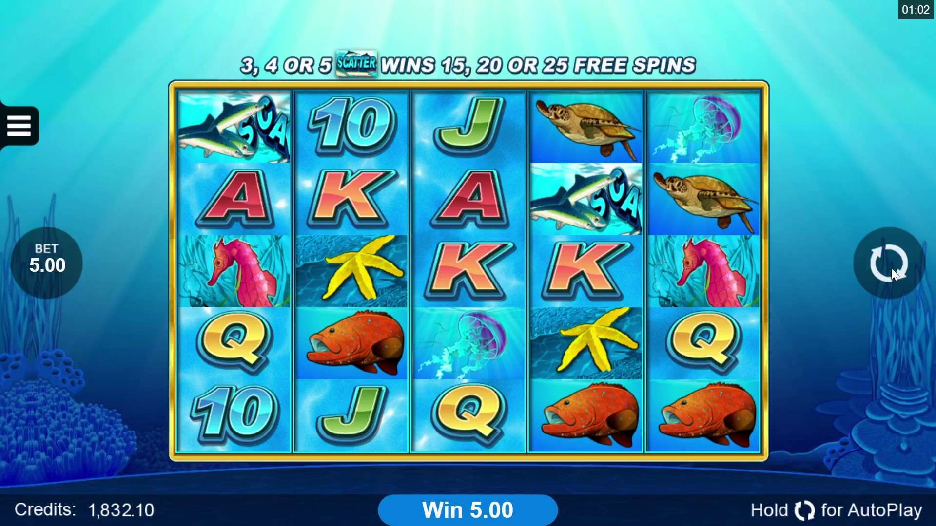 Играйте в игровой автомат Dolphin Coast в онлайн-казино Играйте в игровой автомат Dolphin Coast в онлайн-казино