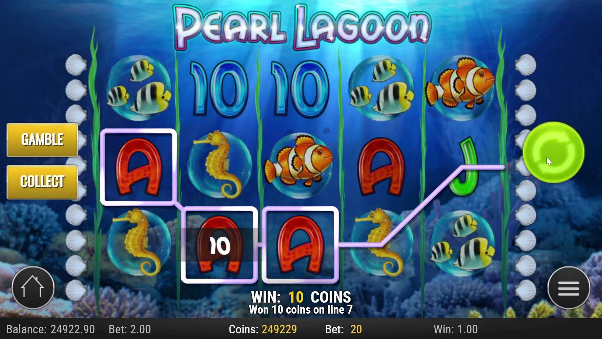 Дикий символ – дельфин Дикий символ – дельфин